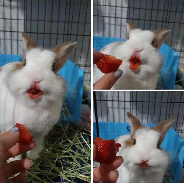 Acid Picdump 1 (89 pics)