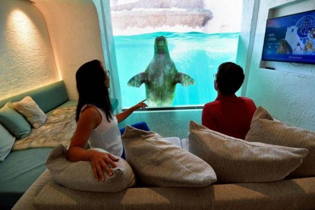 Acid Picdump 1 (89 pics)