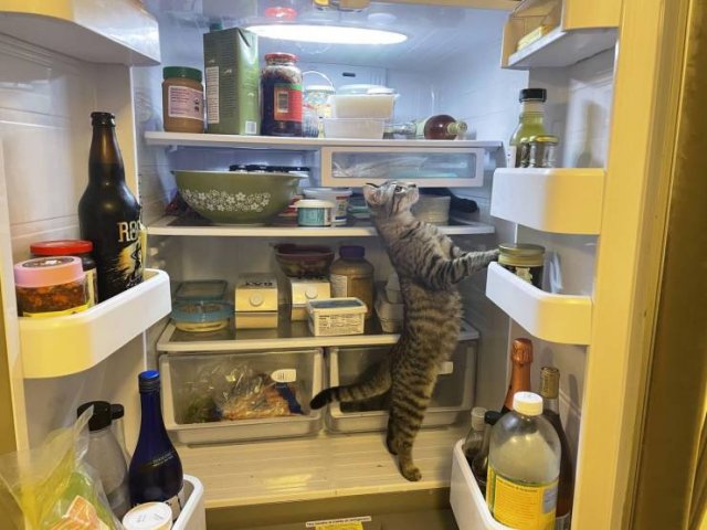 Acid Picdump 1 (89 pics) Acid Picdump 1 (89 pics)