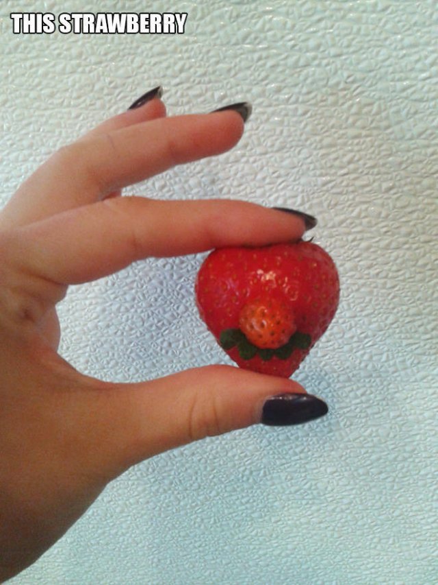 Accidental 'Super Mario' (16 pics)