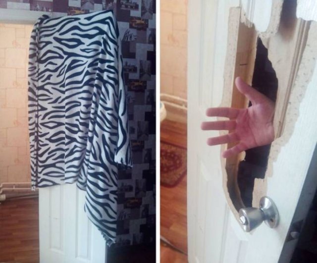 Rented Apartments Surprises (17 pics)