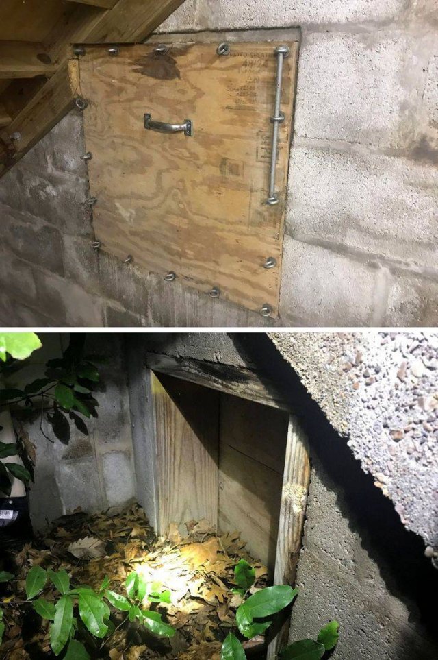 Rented Apartments Surprises (17 pics)