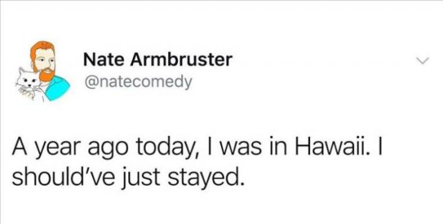 Funny Tweets (45 pics)