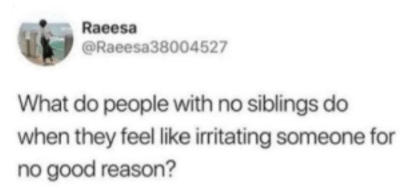 Tweets About Siblings (22 pics)