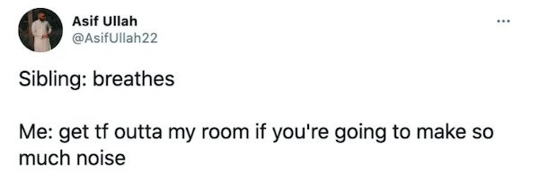 Tweets About Siblings (22 pics)