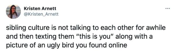 Tweets About Siblings (22 pics)