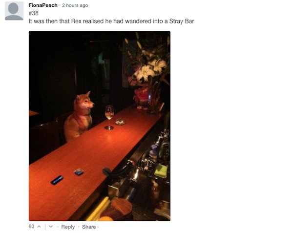 Sarcastic Comments (55 pics)