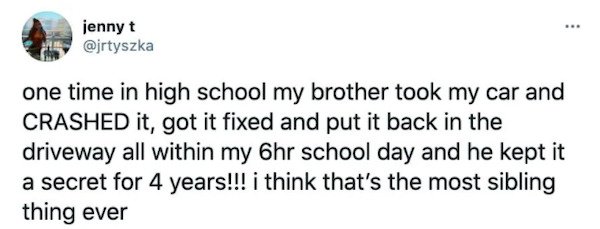 Tweets About Siblings (22 pics)