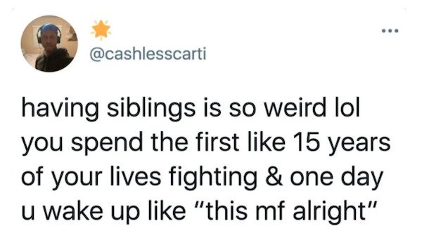Tweets About Siblings (22 pics)
