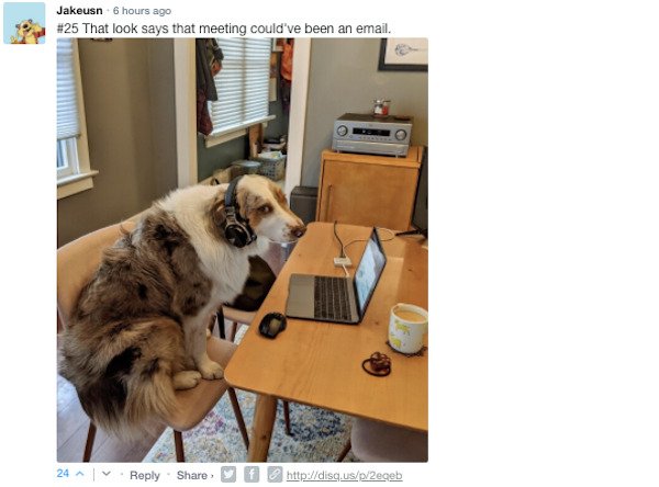 Sarcastic Comments (55 pics)