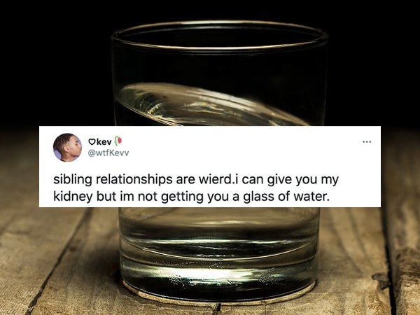 Tweets About Siblings (22 pics)