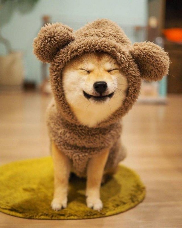 Acid Picdump 1 (67 pics)