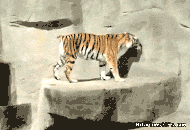 Acid Gifdump, February 1 (25 gifs)