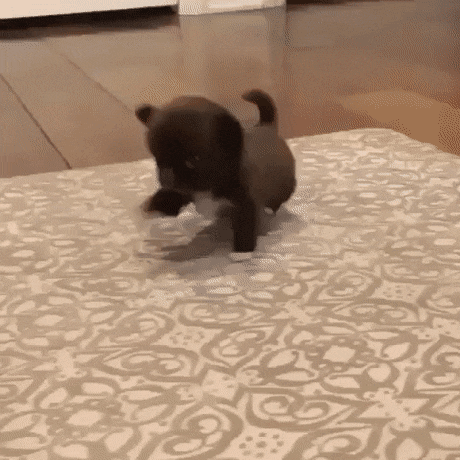 Acid Gifdump, February 1 (25 gifs)