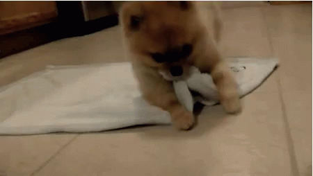 Acid Gifdump, February 1 (25 gifs)