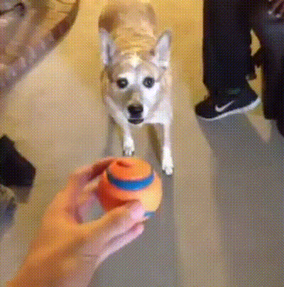 Acid Gifdump, February 1 (25 gifs)