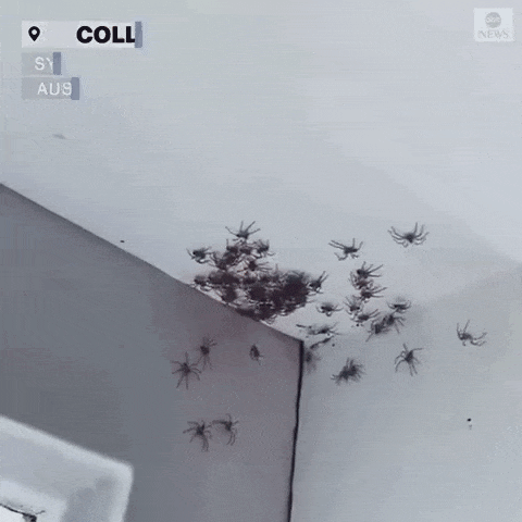 Acid Gifdump, February 1 (25 gifs)