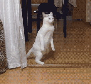 Acid Gifdump, February 1 (25 gifs)