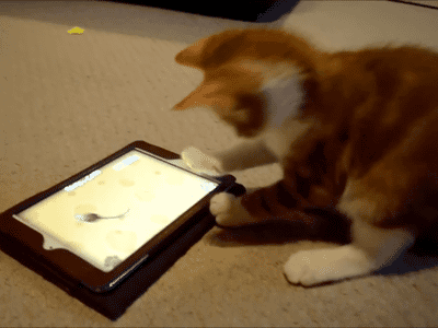 Acid Gifdump, February 1 (25 gifs)