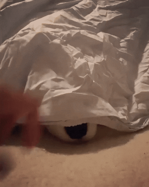 Acid Gifdump, February 1 (25 gifs)