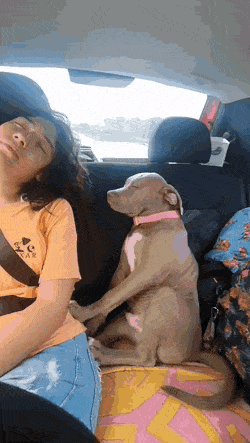 Acid Gifdump, February 1 (25 gifs)