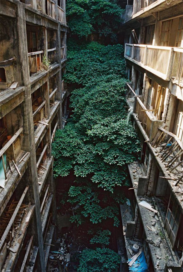 Amazing Pictures (45 pics)