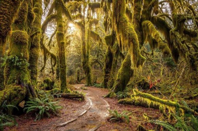 Amazing Pictures (45 pics)