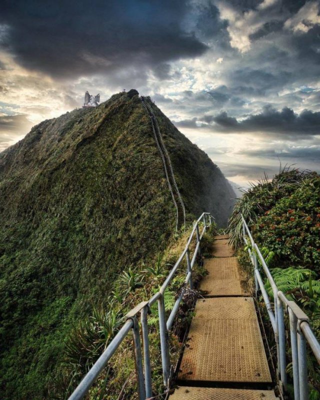 Amazing Pictures (45 pics)