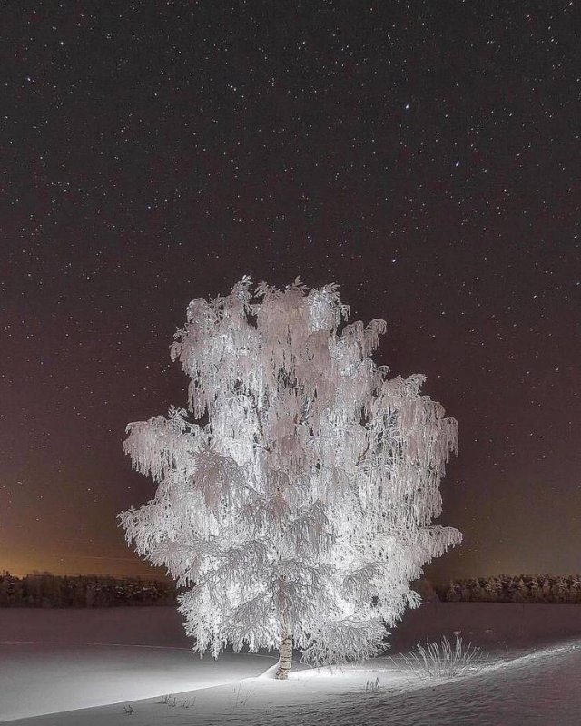 Amazing Pictures (45 pics)