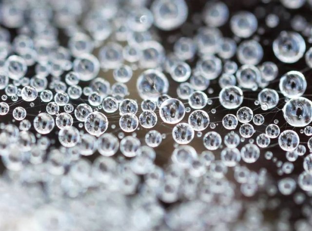 Amazing Pictures (45 pics)