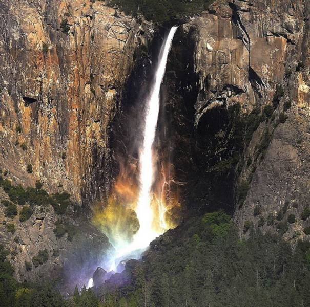 Amazing Pictures (45 pics)