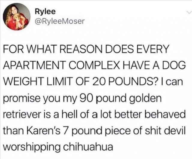 Funny Tweets (32 pics)