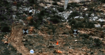 Wins And Fails (35 gifs)
