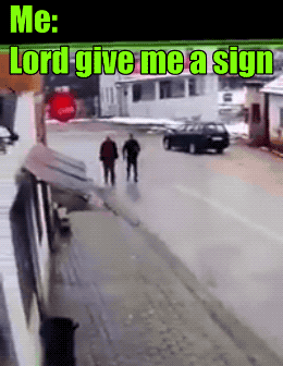 Wins And Fails (35 gifs)