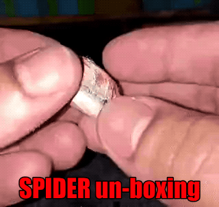 Wins And Fails (35 gifs)
