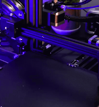 Wins And Fails (35 gifs)