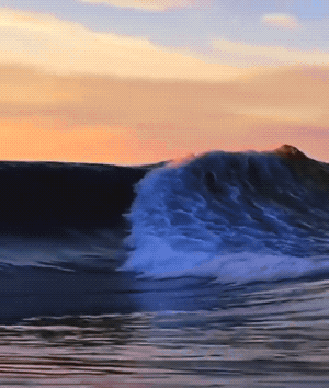 Wins And Fails (35 gifs)