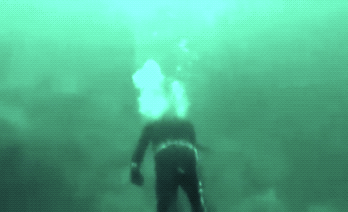 Wins And Fails (35 gifs)
