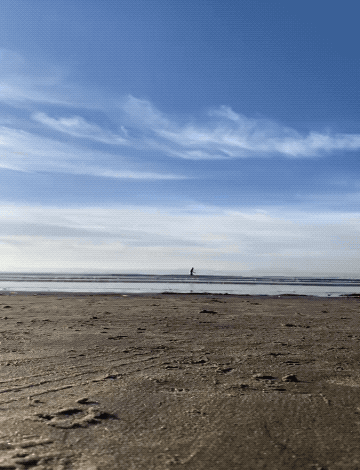 Wins And Fails (35 gifs)