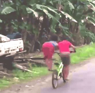 Wins And Fails (35 gifs)