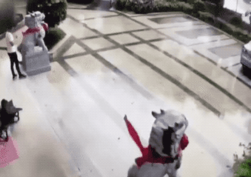 Wins And Fails (35 gifs)