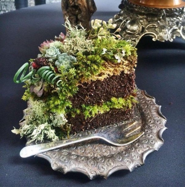 Things That Look Like Food (27 pics) Things That Look Like Food (27 pics)