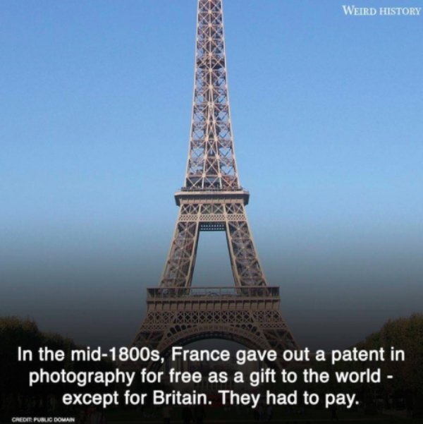 That's Why You Are Alone (17 pics)