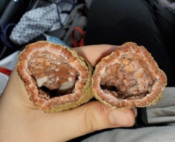 Things That Look Like Food (27 pics)