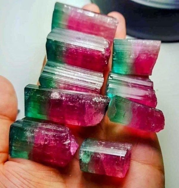 Things That Look Like Food (27 pics) Things That Look Like Food (27 pics)