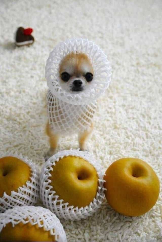 Acid Picdump 1 (92 pics)