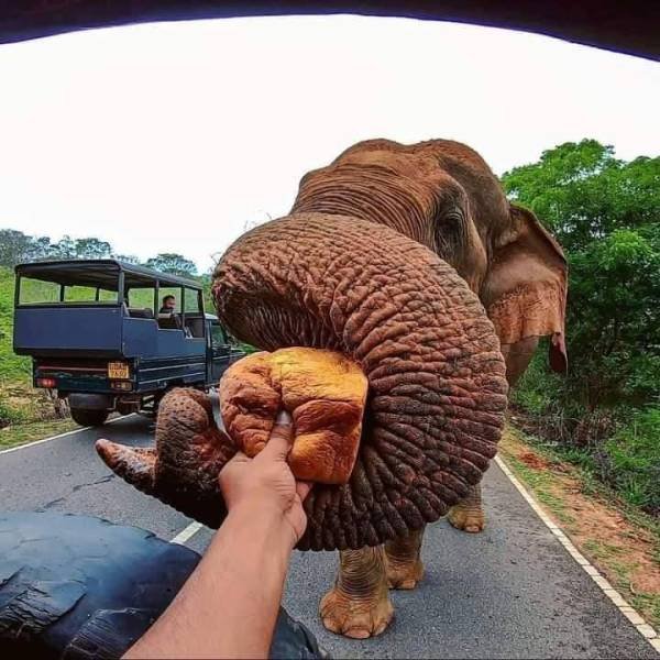 Acid Picdump 1 (92 pics)