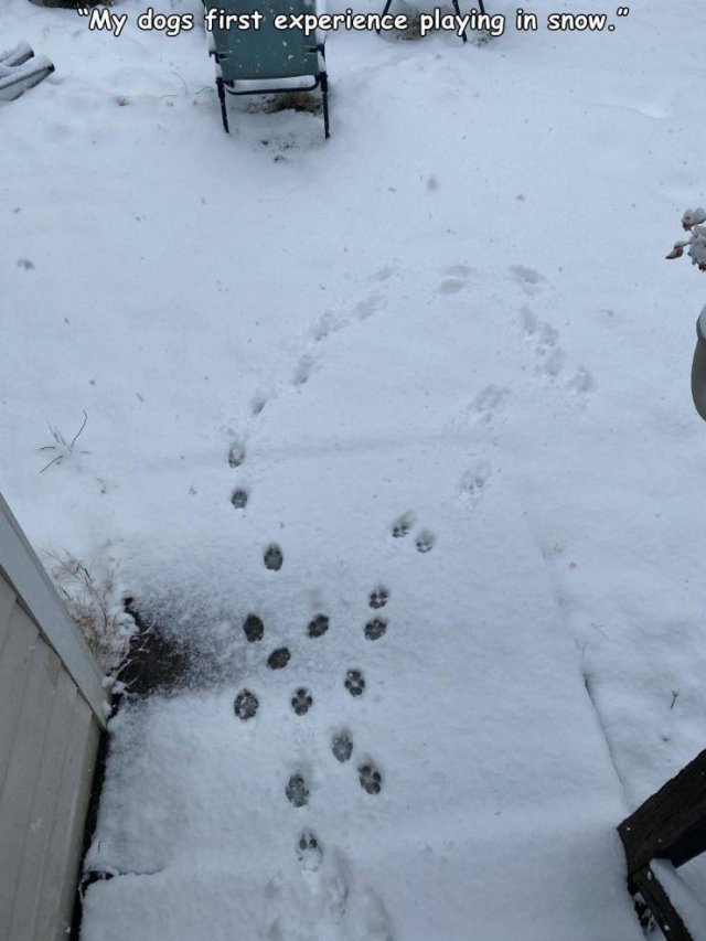 Acid Picdump 1 (92 pics)