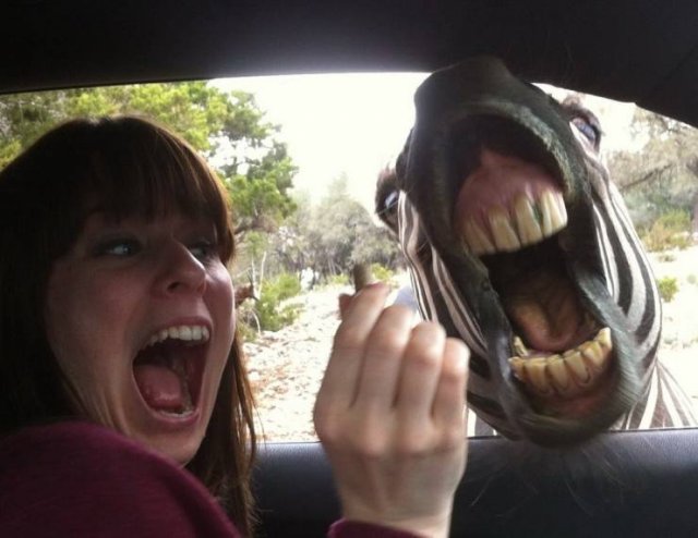 Acid Picdump 2 (91 pics)