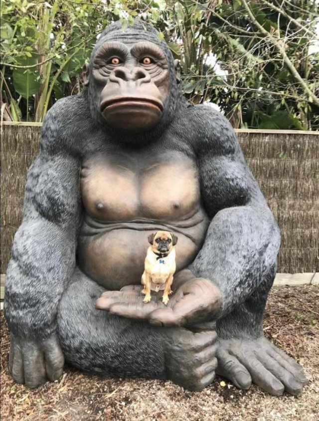 Acid Picdump 1 (92 pics)
